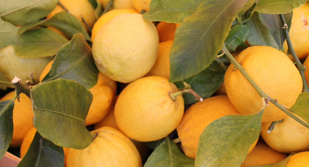 cropped Lemons Nice Market 2015