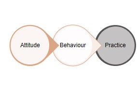 attitude behaviour practice 1